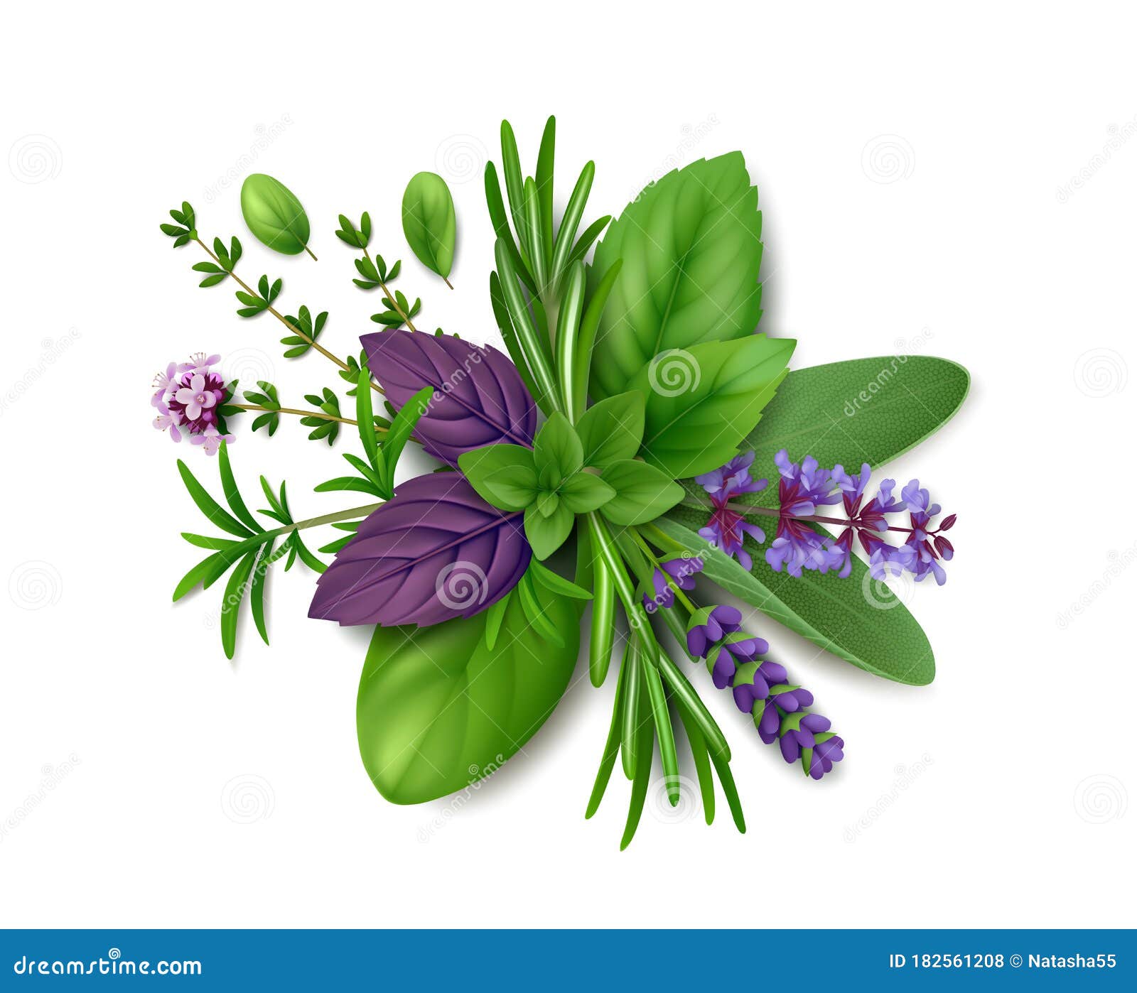 fresh herbs de provence on white background